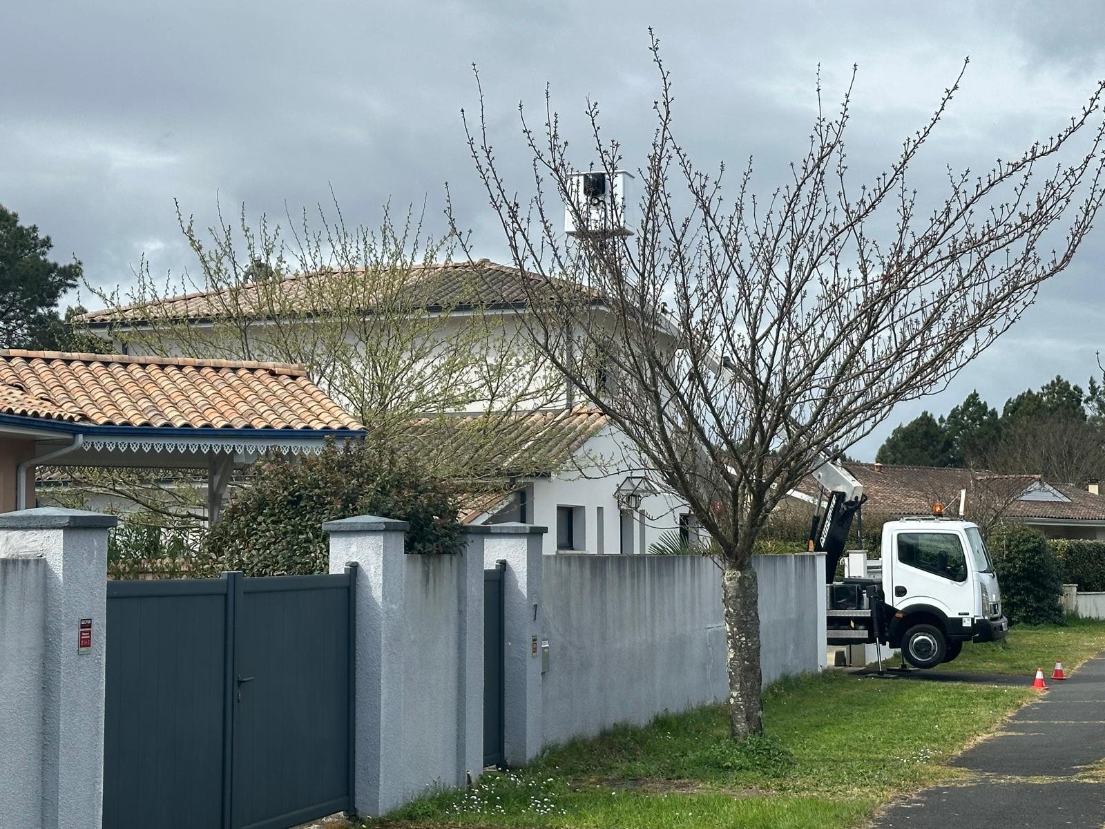 Élagage taille haies Coutras Gironde - Jules Travaux espaces verts